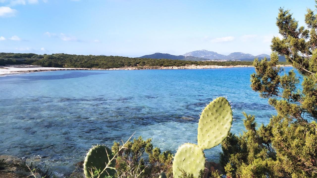 Sardegna Golfo Di Marinella Appartement Golfo Aranci